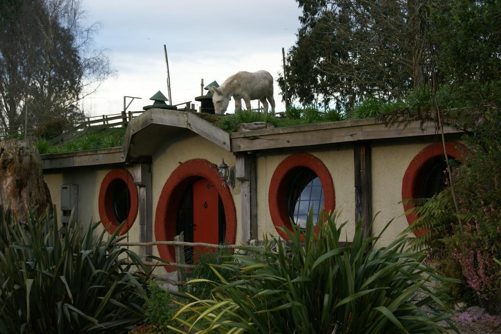 Woodlyn Park Motel Cuevas de Waitomo Exterior foto